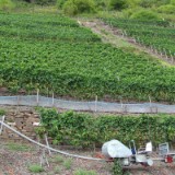 1109F 046 Trier-Paderborn